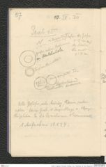 Seite 73, Tagebuch "Dürnstein | Wöbling - neol. | Höbenbach | Kl. Rust | Noppendorf" (NHMW-PRAE-BBB-45)